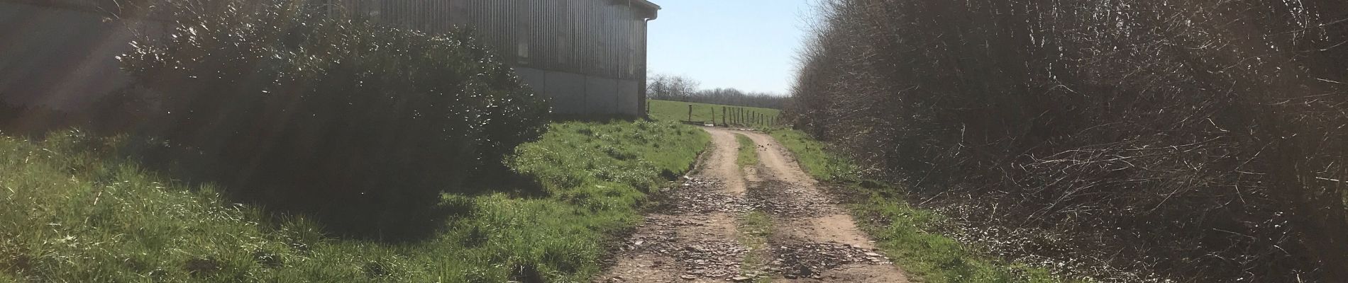 Tour Reiten Fougerolles-Saint-Valbert - 1hBalade sarcenot poney en main  - Photo