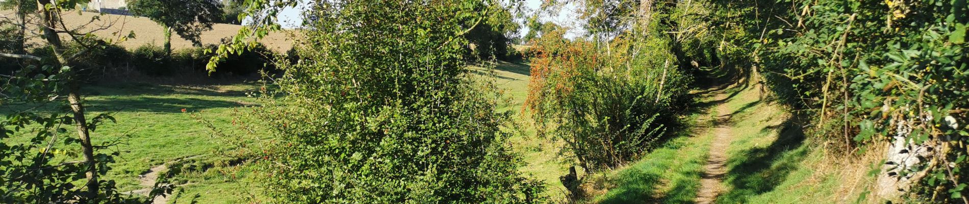 Randonnée V.T.T. Baron-sur-Odon - VTT Pré-Bocage 44 km - Photo