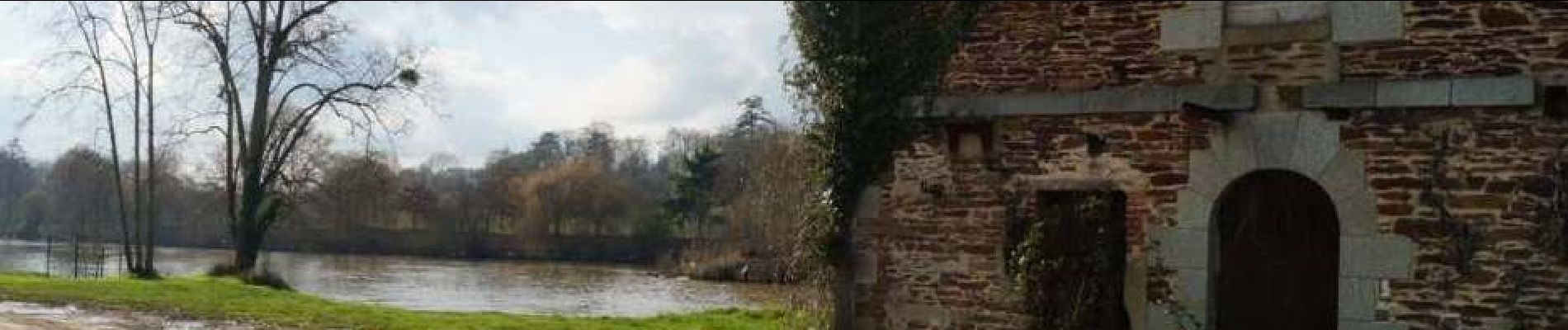 Randonnée A pied Le Rheu - Rennes Etangs d'Apigné - Photo