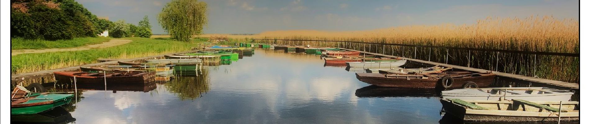 Percorso A piedi Pákozd - P+ ( Pákózd - Dinnyés ) - Photo