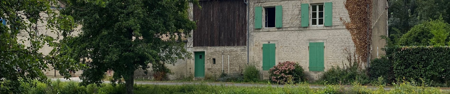 Excursión Senderismo Coulon - Magné/Coulon - Sèvre et légendes - Photo