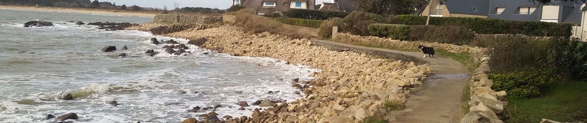 Excursión Senderismo La Trinité-sur-Mer - La Trinité sur Mer  08/03/20 . - Photo