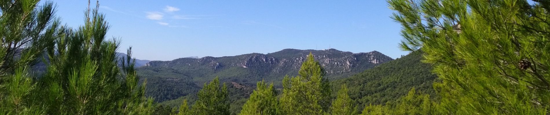 POI Garéoult - Point de vue - Photo