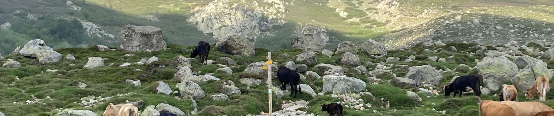 Tour Wandern Ghisoni - Refuge de Capannelle-refuge du col de Verde - Photo