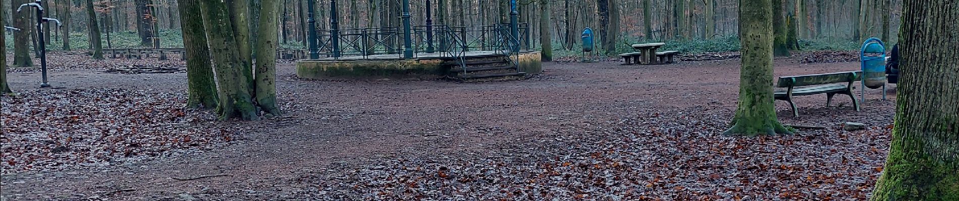 Tour Wandern Charleroi - bois du cazier seniors 2025 - Photo