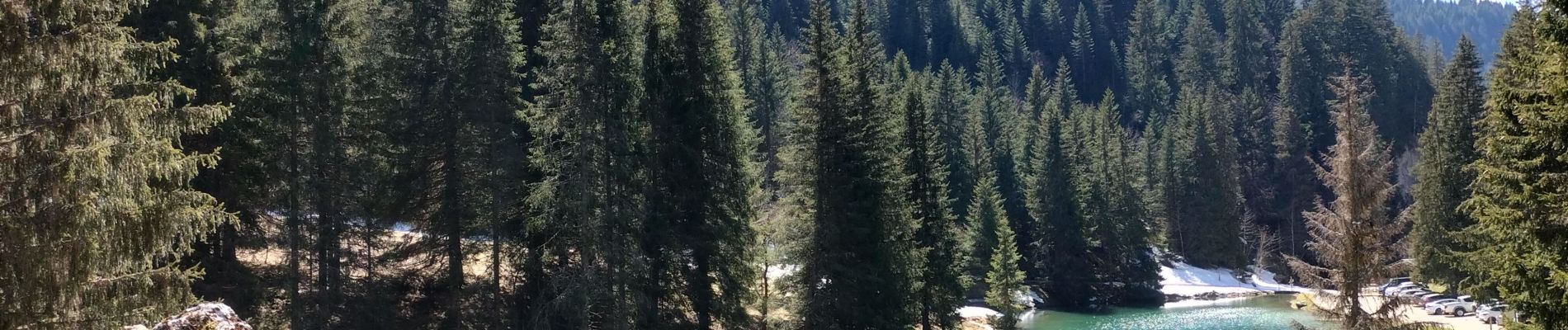 Excursión Senderismo Vacheresse - Ubine, col d'Ubine, col des Mosses, chalets de Bise, lac de Fontaine - Photo