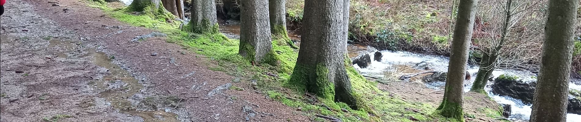 Tour Wandern Dreibrücken - extratrail trois ponts 10 km  - Photo