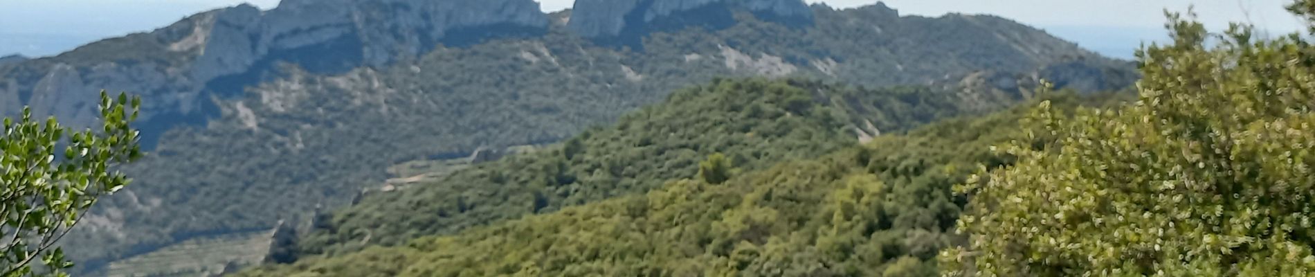 Tocht Stappen Gigondas - Les Florets Lencieux Pas de l'Aigle - Photo