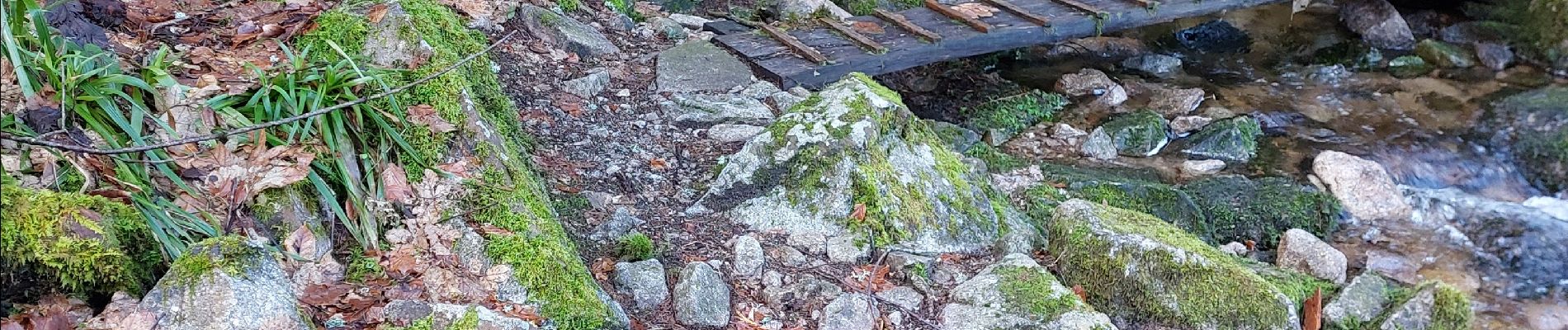 Randonnée Marche Stosswihr - Saegmatt Cascade de Stolz Ablass Frankenthal - Photo