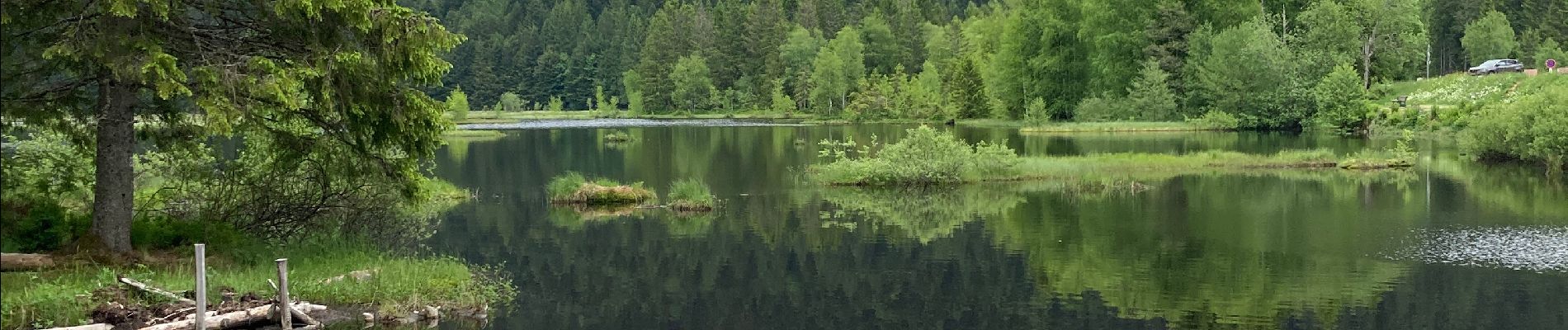 Randonnée Marche La Bresse - Tour du lac de Lispach + tête de Grouvelin  - Photo