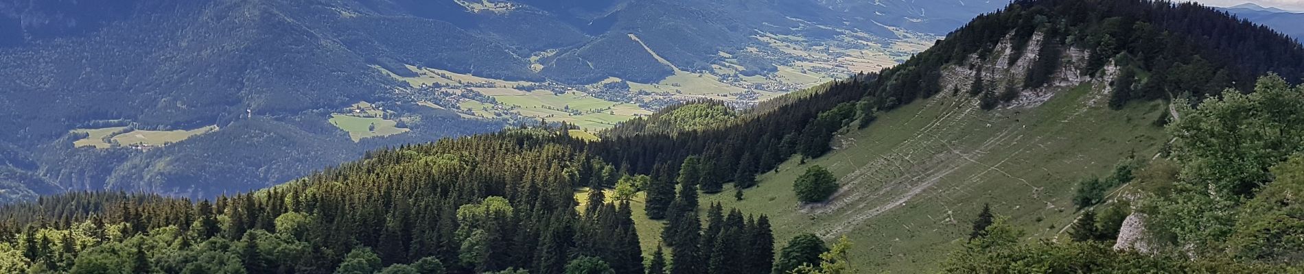 Excursión Bici de montaña Lans-en-Vercors - Lans - Charande - La Molière par les crêtes  - Photo