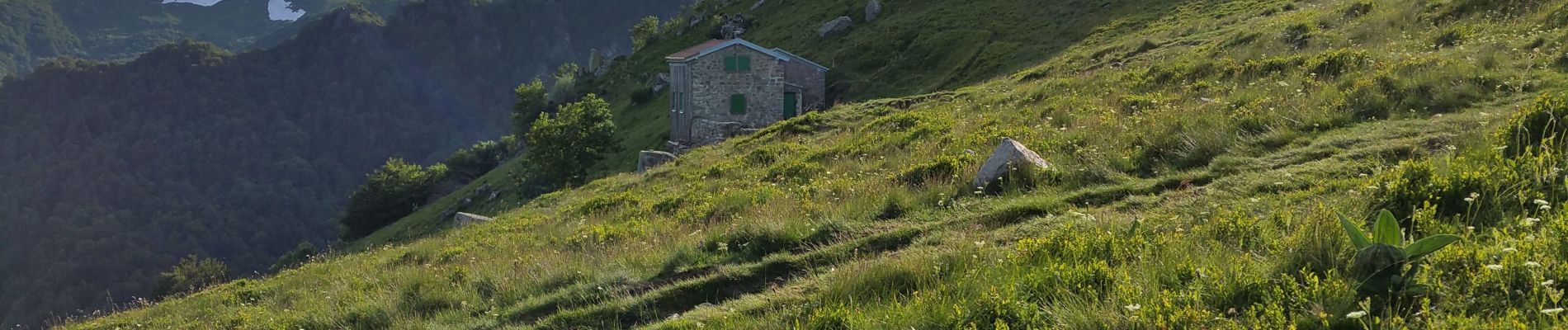 Point d'intérêt Metzeral - Wormspel - Photo