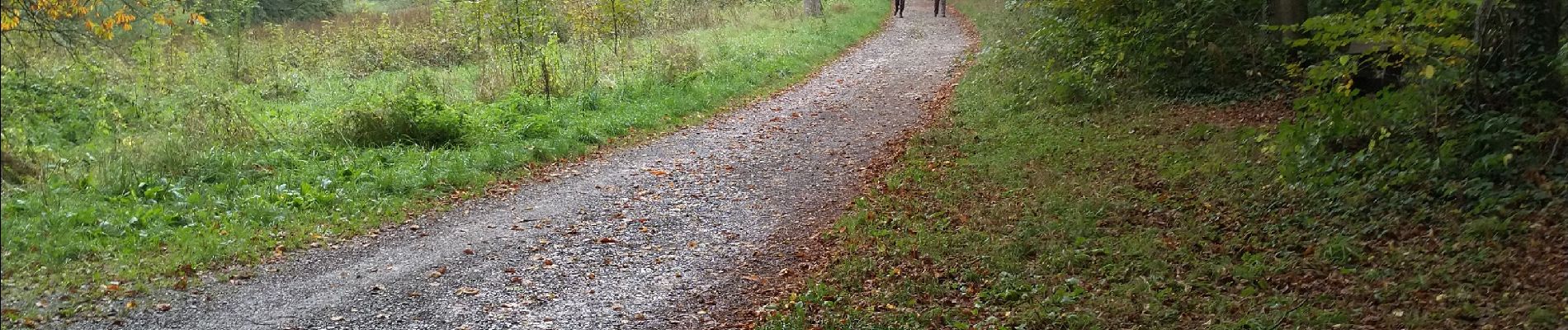 Tocht Stappen Esneux - Mary - Amostrenne - Photo