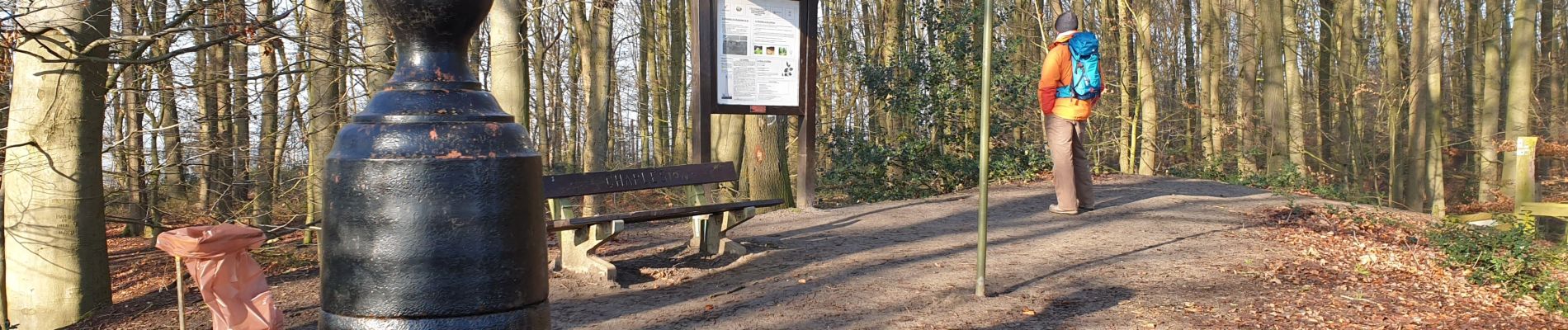 Percorso Marcia Braine-Le-Comte - Balade dans la Bois de la Houssière - Henripont - Photo