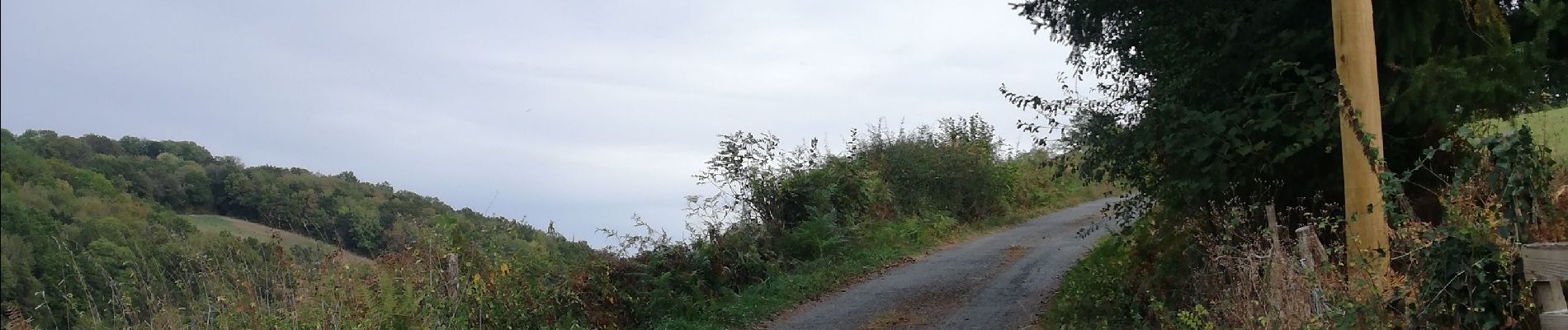 Excursión Senderismo Montredon-Labessonnié - Sur les pas de nos ancêtres  - Photo