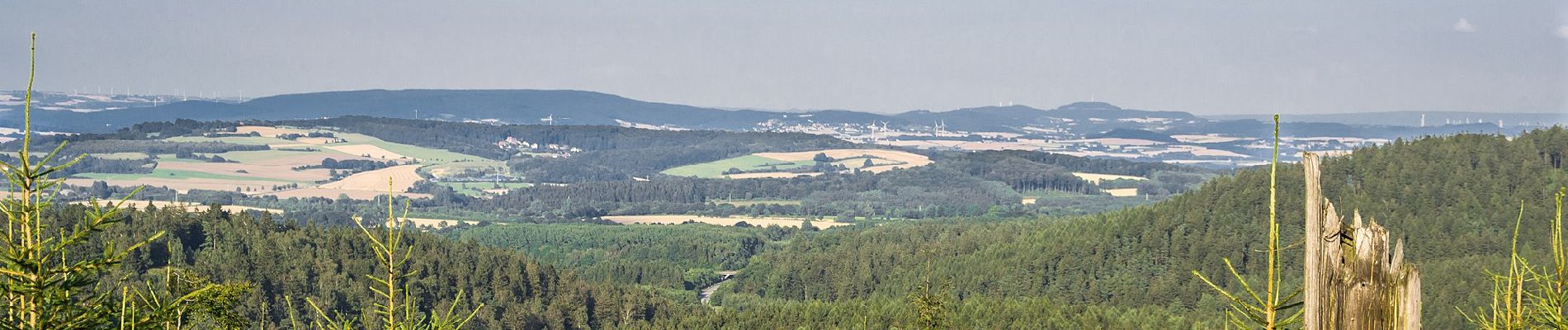 Excursión A pie Horn-Bad Meinberg - Rundwanderweg A5 [Horn] - Photo