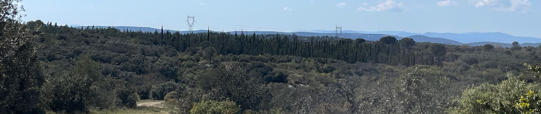 Excursión Senderismo Nîmes - Clos de Gaillard - Photo