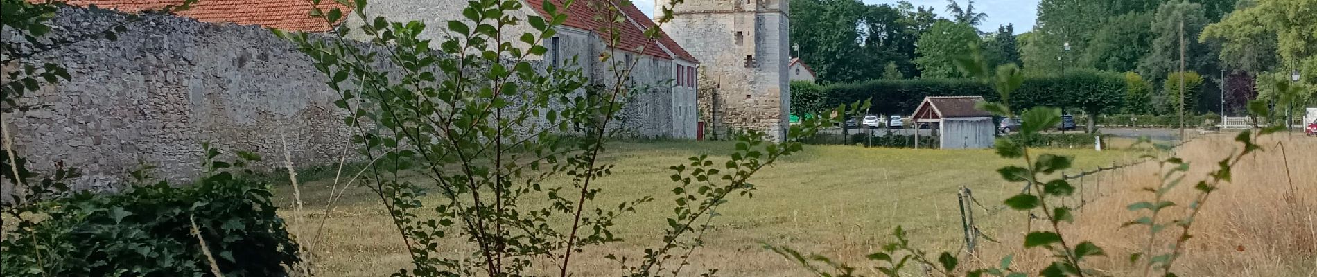 Randonnée Marche Crouy-sur-Ourcq - Crouy et le Clignon - Photo