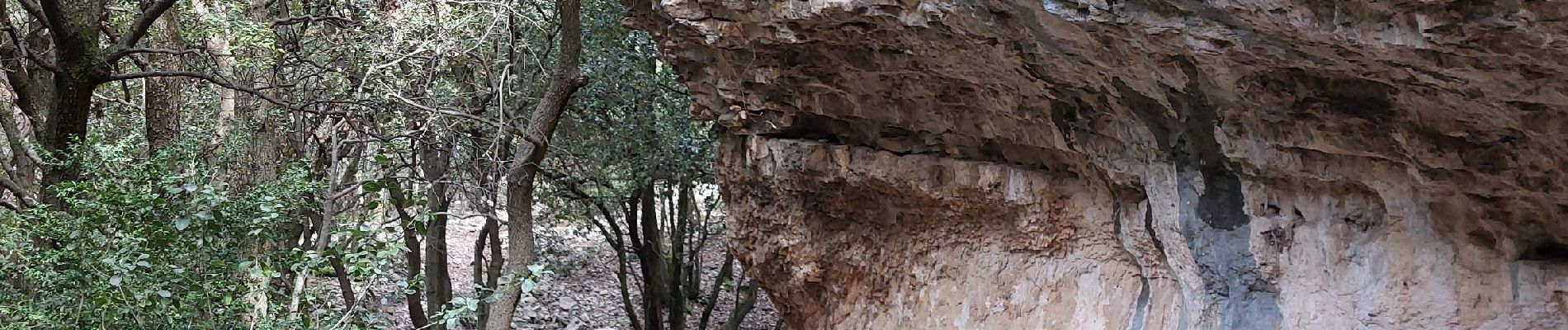 Tour Wandern Bédoin - Baume du Chat final par les Siarres - Photo