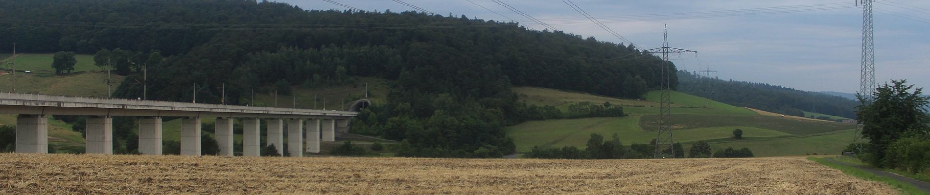 Tour Zu Fuß Knüllwald - Waldwunderweg - Photo