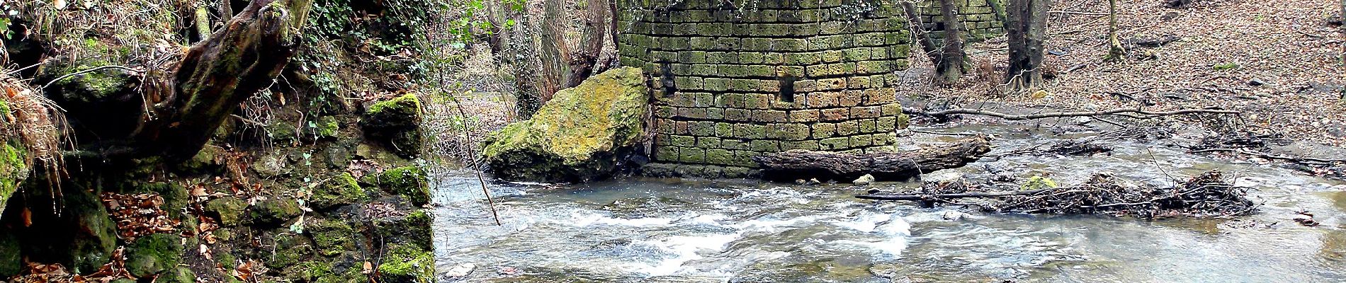 Tour Zu Fuß Canale Monterano - IT-264 - Photo