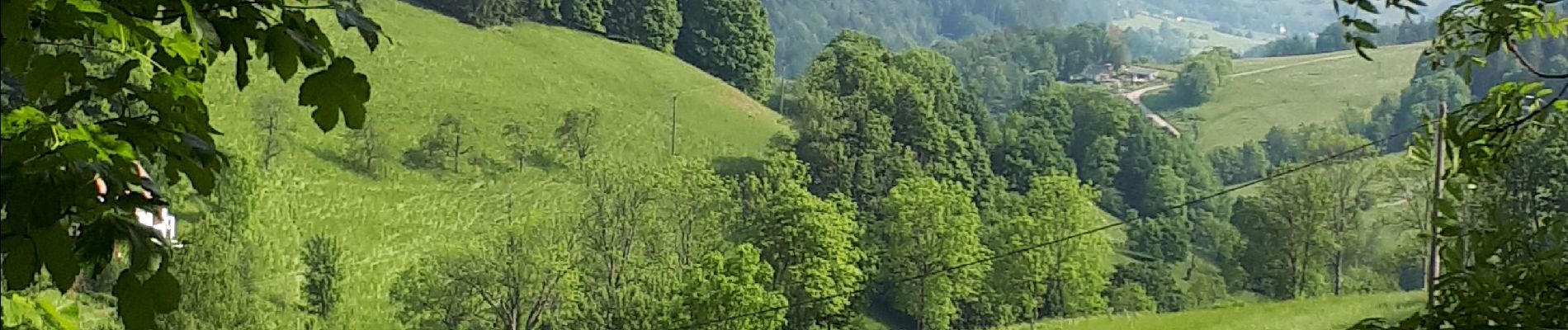 Trail Walking Orbey - Col du Wettstein, le circuit des sources par les Basses Huttes - Photo