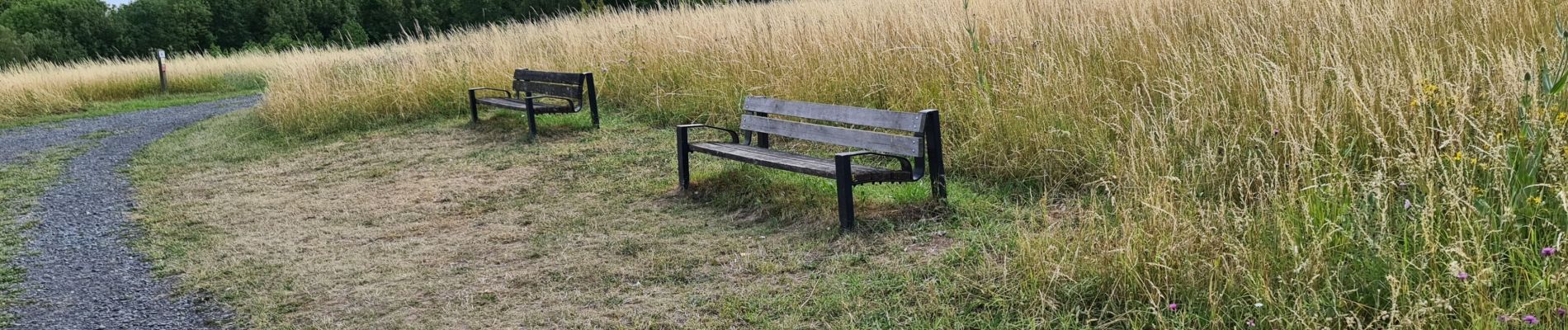 Tocht Stappen Antoing - cinq rocs Tournai  - Photo