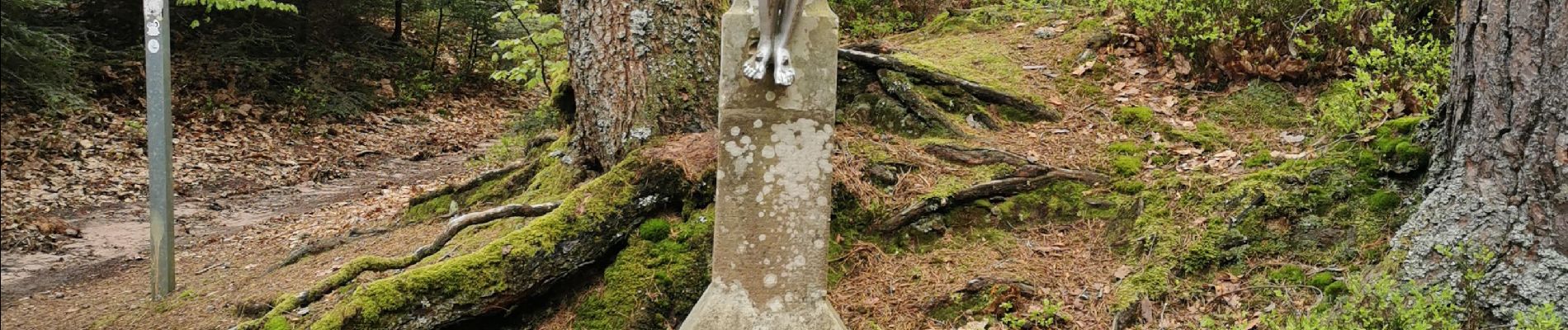 Tour Wandern Sankt Kreuz im Lebertal - boucle col haut de Ribeauvillé - taennchel sentier des roches  - Photo