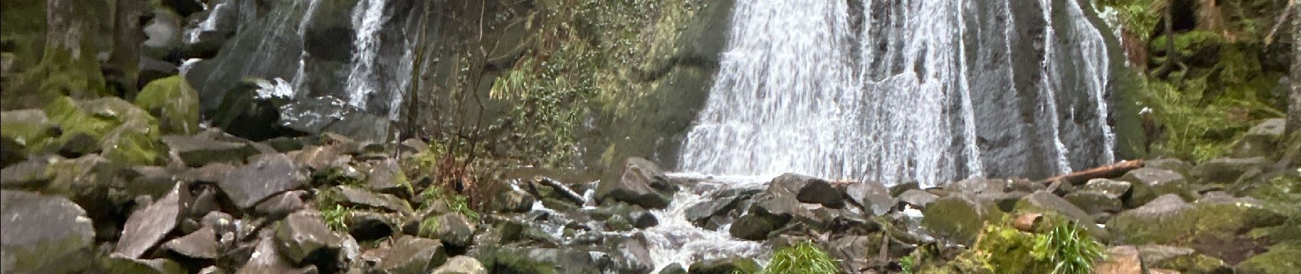 Trail Walking Vagney - Cascade de la Pissoire - Haut du Tôt  - Photo