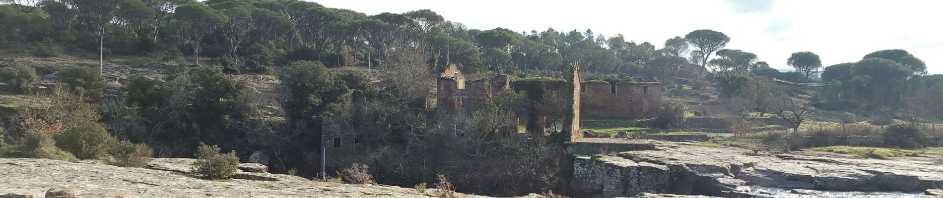 Randonnée Vélo de route Draguignan - 20200113 L'Aille pont de fer - Photo