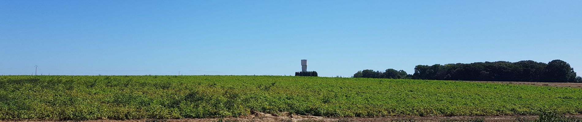 Tocht Stappen Luik - Rocourt - Crisnee - Rocourt  - Photo