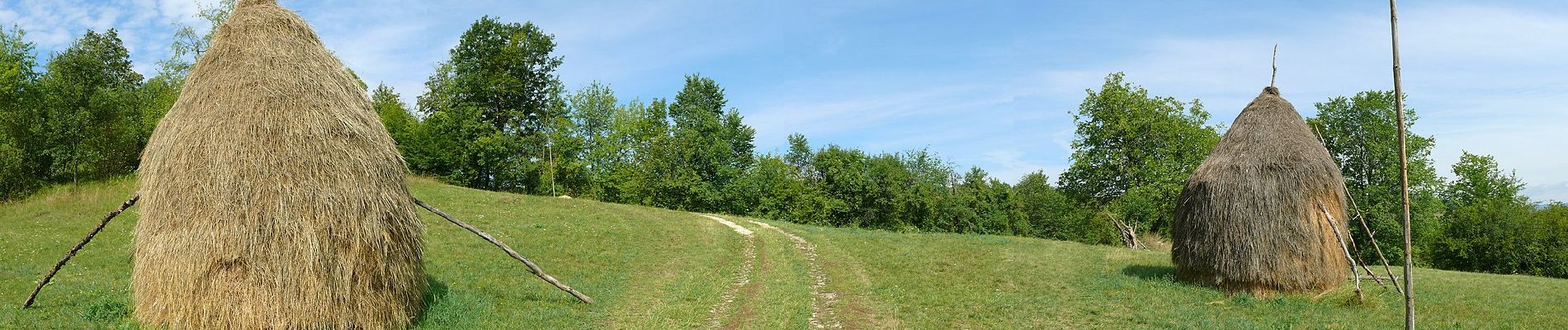 Tour Zu Fuß Unknown - Șuncuiuș - Peștera Bătrânului - Photo