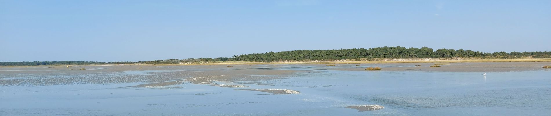 Excursión Senderismo Le Crotoy - balade baie de somme - Photo