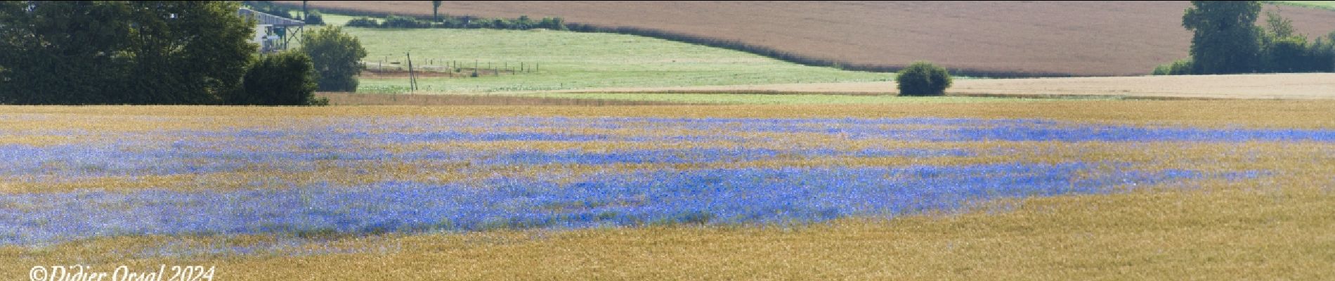 Randonnée Marche La Gaudaine - La Gaudaine 11 km - Photo