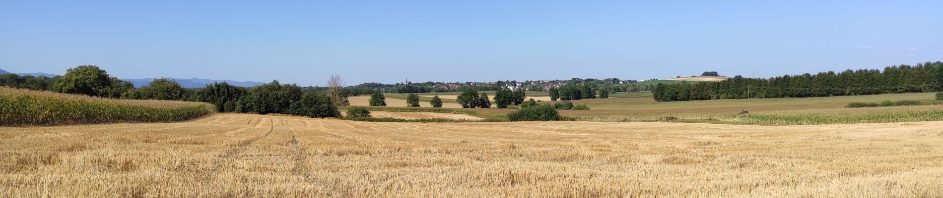 Tocht Hybride fiets Heimsbrunn - Heimsbrunn Dannemarie  - Photo