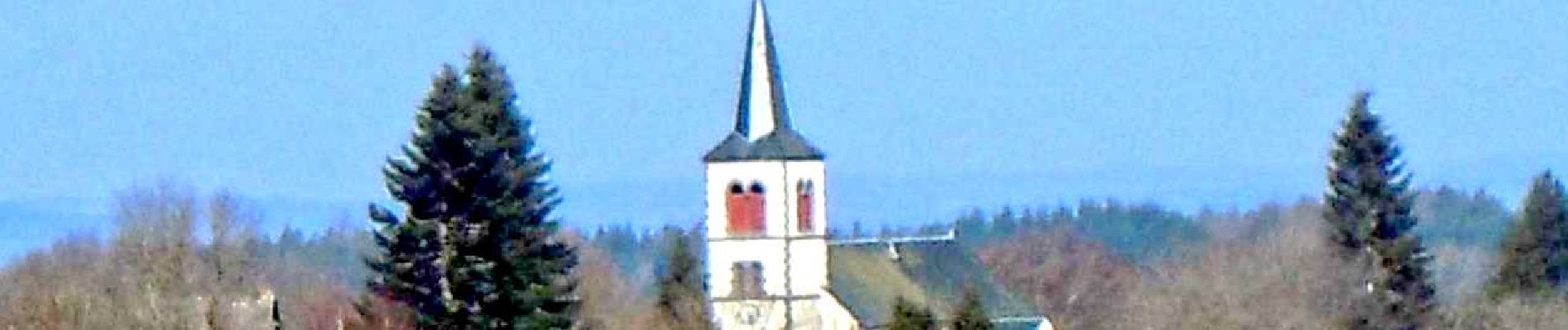 Tour Wandern Cisternes-la-Forêt - Cisternes_Bois_Bauges - Photo