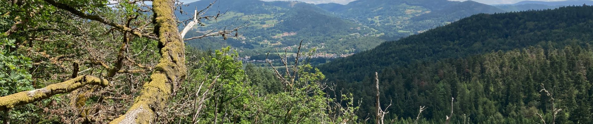 Randonnée Marche Dommartin-lès-Remiremont - Rocher et col du Cheneau  - Photo