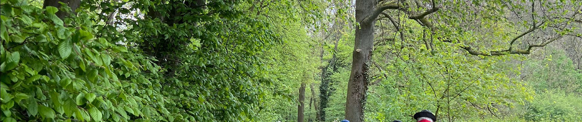 Tocht Stappen Eijsden-Margraten - Roland rijckholt - Photo