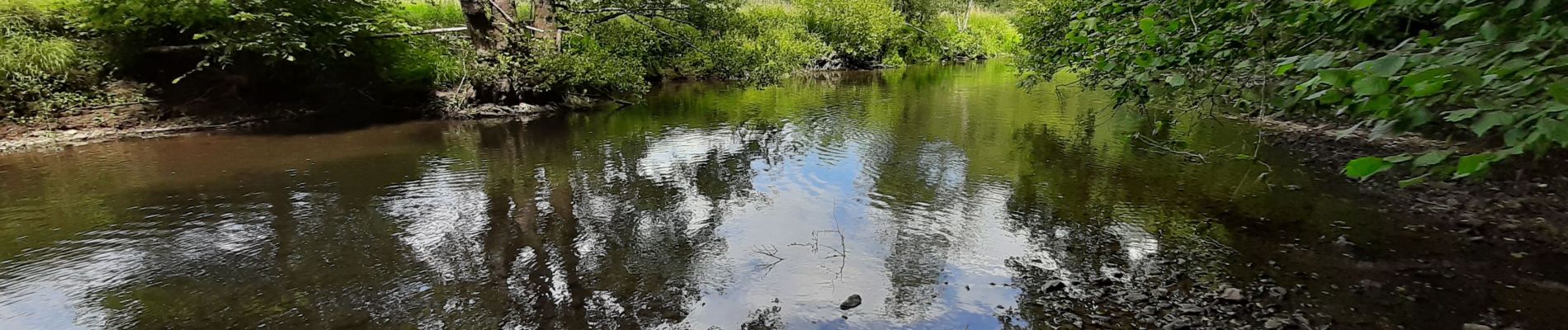 Trail Walking Viroinval - Boucle Olloy - Vierves par la rive droite du Viroin - Photo