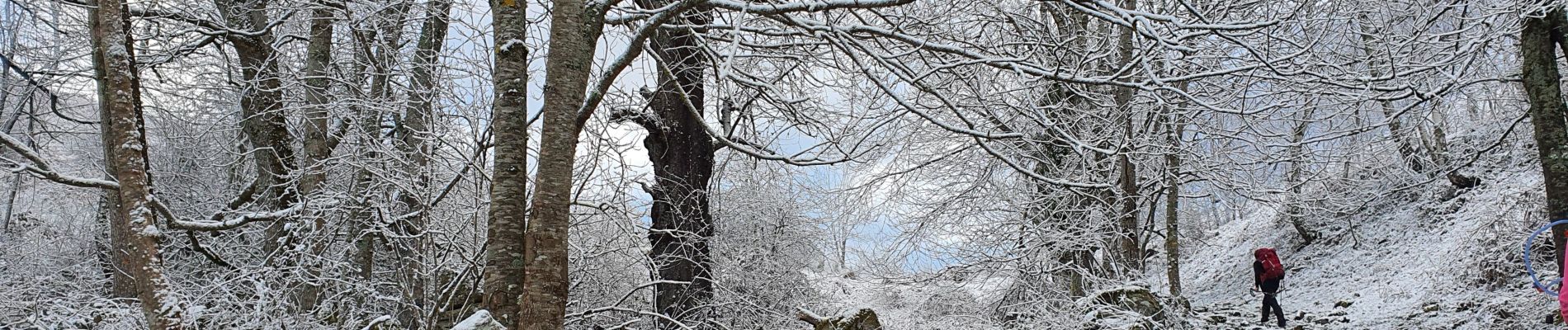 Tocht Stappen Miglos - rocher de MIGLOS  - Photo