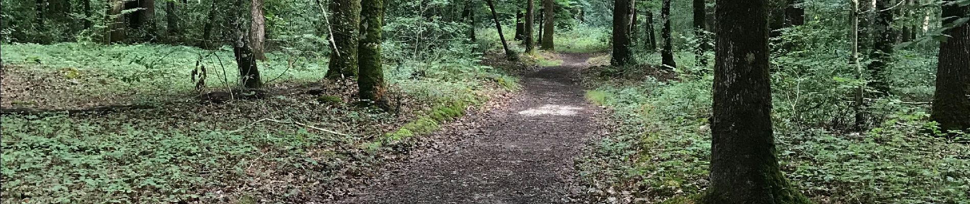 Tocht Stappen Le Gâvre - 07.08.2019 - GÂVRE nord et Clégreuc - Photo