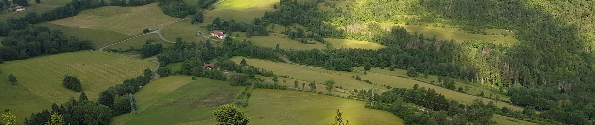 Tour Wandern Choux - Choux Cuchet - Photo