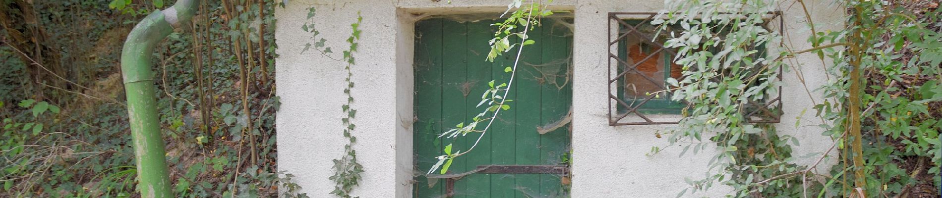 Percorso A piedi Gemeinde Großweikersdorf - Großweikersdorfer Rundwanderweg - Photo