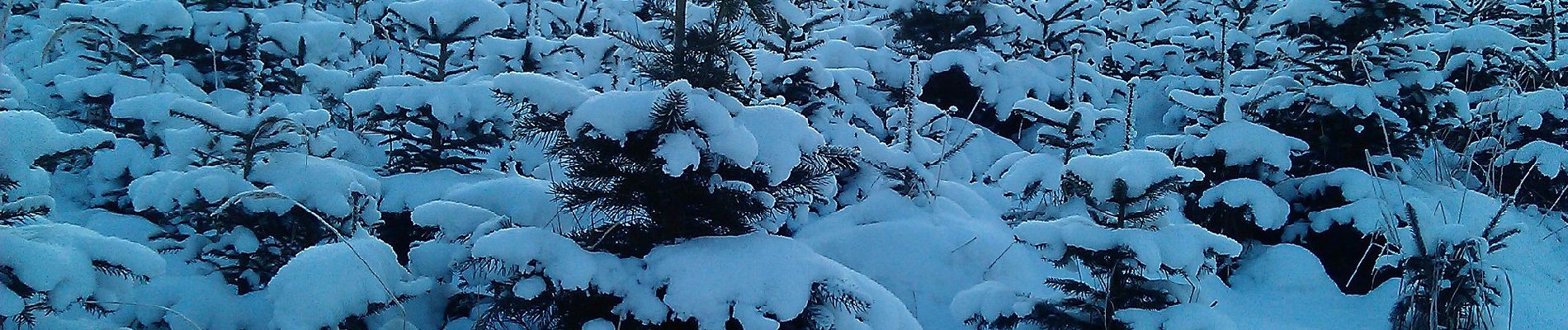 Randonnée A pied Scharten - Naturparkhöhenweg - Photo