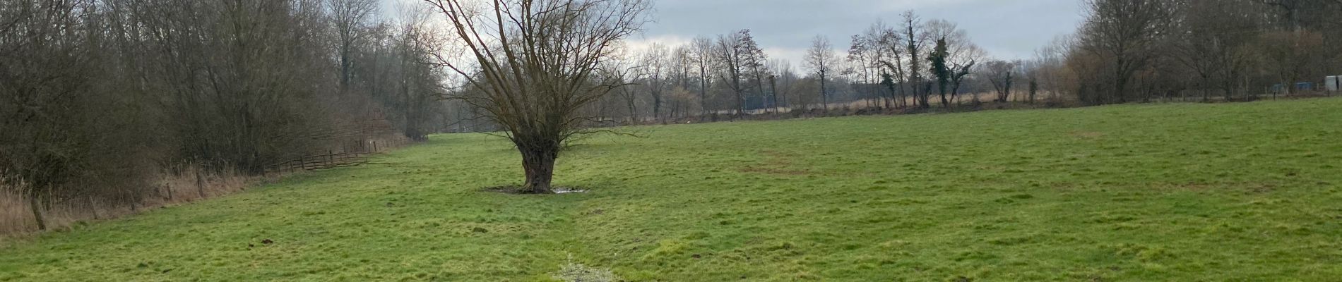 Tour Wandern Kortenberg - Erps Kwerps station 16 km - Photo