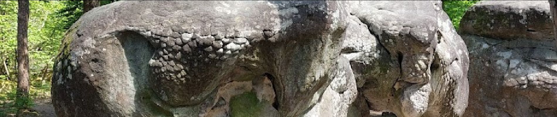 Point d'intérêt Fontainebleau - Rocher de l'Eléphant - Photo