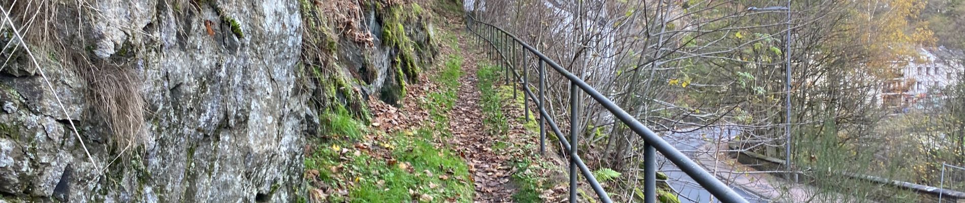 Excursión Senderismo Clervaux - Clervaux Abbaye et Mecher 10 km boucle - Photo