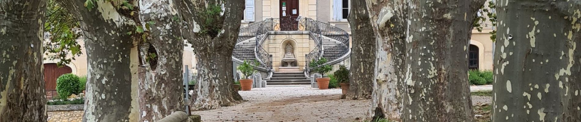 Tour Wandern Aniane - entre vignes et forêts  - Photo