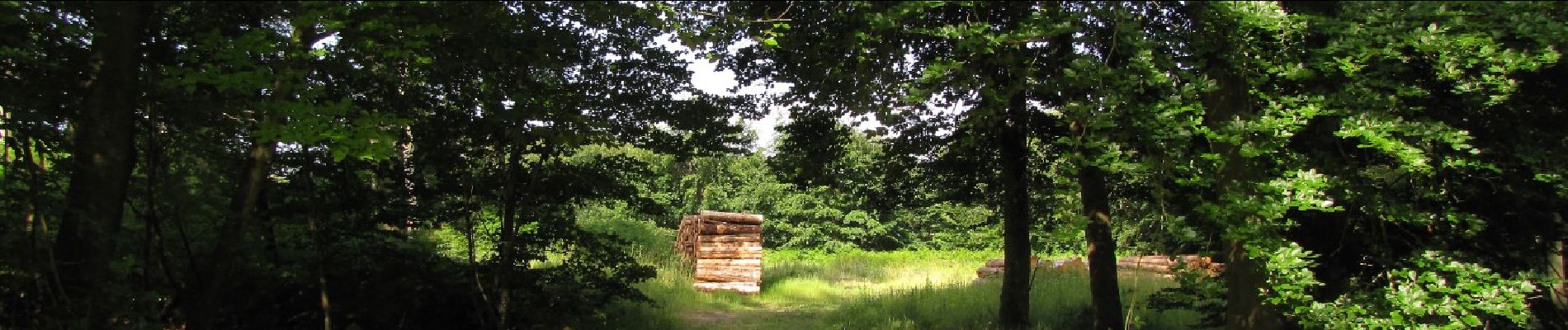 Point d'intérêt Choisy-au-Bac - Point 9 - Photo