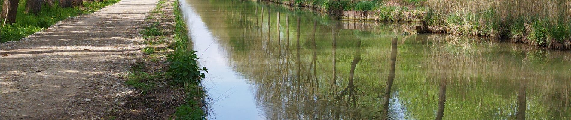 Tocht Stappen Tremblay-en-France - Tremblay Claye - Photo